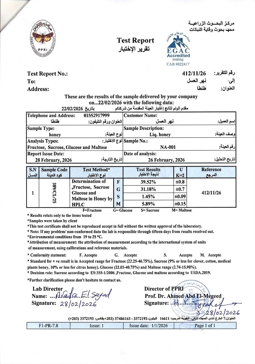 عسل السدر الجبلي اليمني